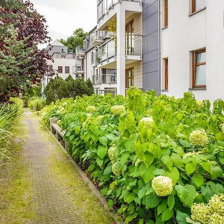 Solaris - Sopocka Przystan Zoppot